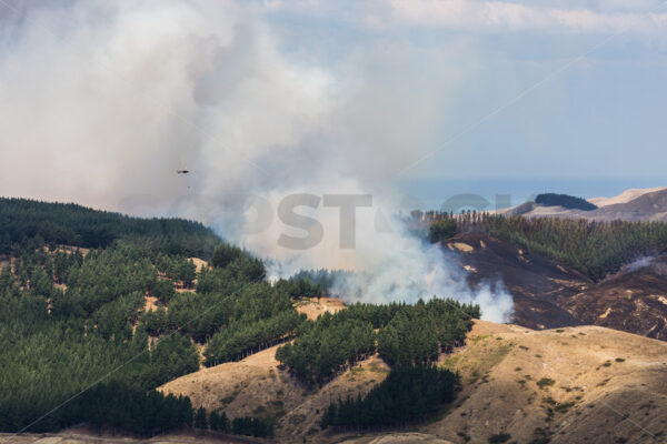 Summer grass fire, Hawke’s Bay, New Zealand - SCP Stock