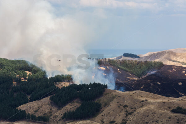 Summer grass fire, Hawke’s Bay, New Zealand - SCP Stock