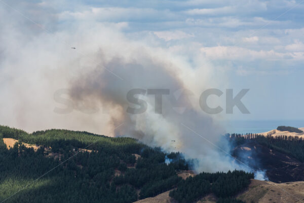 Summer grass fire, Hawke’s Bay, New Zealand - SCP Stock