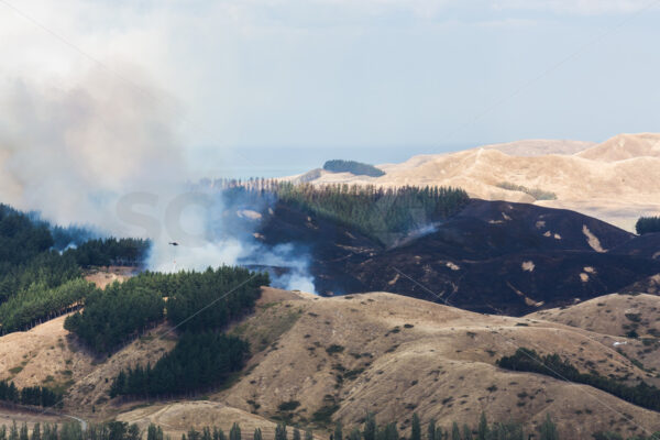 Summer grass fire, Hawke’s Bay, New Zealand - SCP Stock