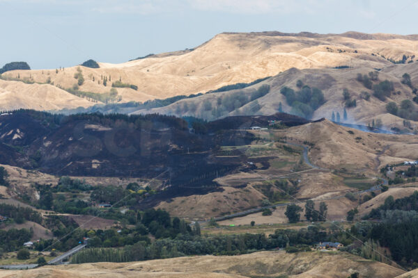 Summer grass fire, Hawke’s Bay, New Zealand - SCP Stock