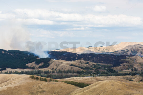 Summer grass fire, Hawke’s Bay, New Zealand - SCP Stock