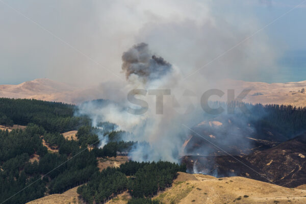 Summer grass fire, Hawke’s Bay, New Zealand - SCP Stock