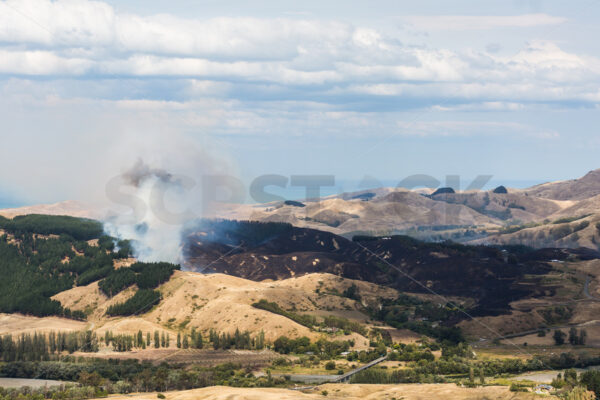 Summer grass fire, Hawke’s Bay, New Zealand - SCP Stock