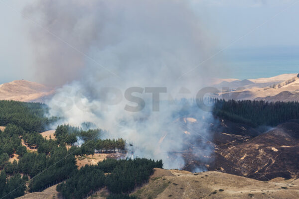 Summer grass fire, Hawke’s Bay, New Zealand - SCP Stock