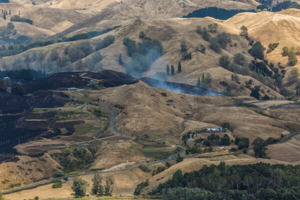 Summer grass fire, Hawke’s Bay, New Zealand - SCP Stock