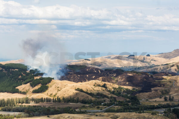 Summer grass fire, Hawke’s Bay, New Zealand - SCP Stock