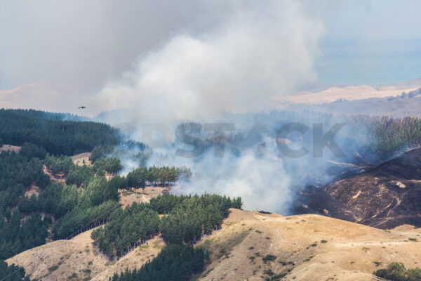 Summer grass fire, Hawke’s Bay, New Zealand - SCP Stock