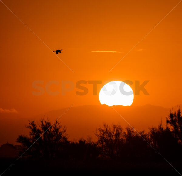 Summer sun sinking into the Ruahine ranges, Hawke’s Bay, New Zealand - SCP Stock