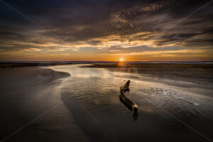 Sunrise at Ocean Beach, Hawke’s Bay, New Zealand - SCP Stock