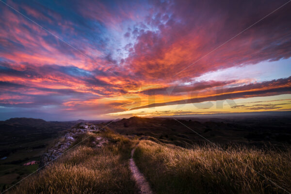 Sunset on Te Mata Peak, Hawke’s Bay - SCP Stock