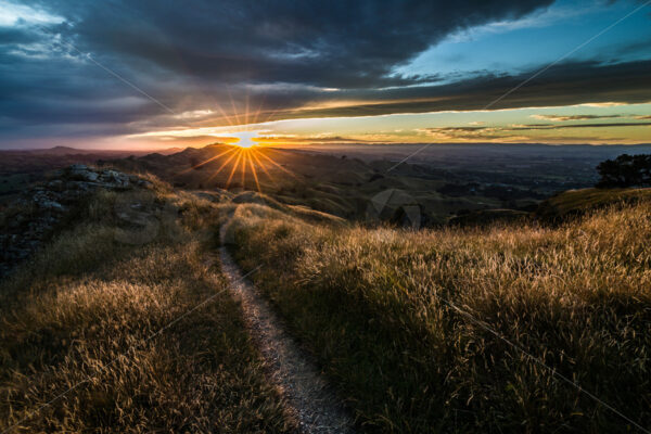 Sunset on Te Mata Peak, Hawke’s Bay, New Zealand - SCP Stock