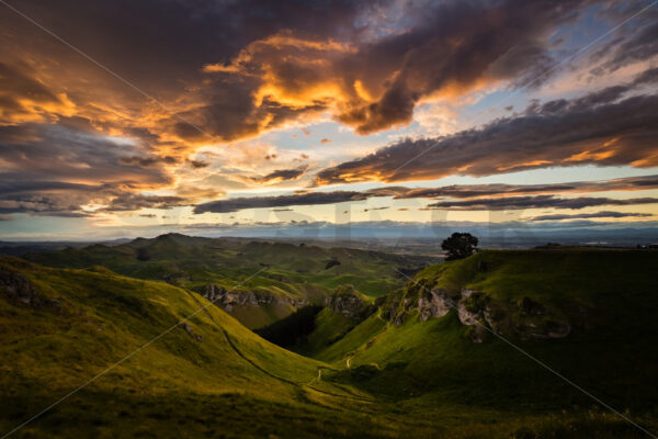 Sunset over the Goat Track, Te Mata Peak, Hawkes Bay, New Zealand - SCP Stock