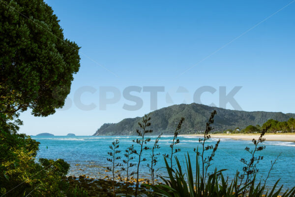 Tairua bar, Tairua, Coromandel, New Zealand - SCP Stock