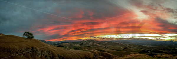 Te Mata Peak, Hawke’s Bay, New Zealand - SCP Stock