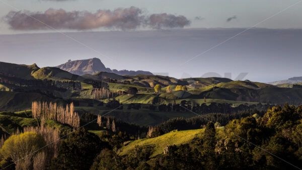 Te Mata Peak as viewed from Kahuranaki Road, Hawke’s Bay, New Zealand - SCP Stock