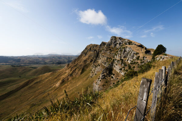 Te Mata Peak in the daytime, Havelock North, New Zealand - SCP Stock