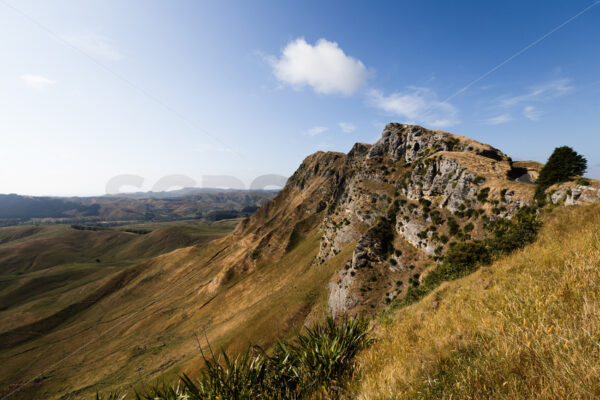 Te Mata Peak in the daytime, Havelock North, New Zealand - SCP Stock