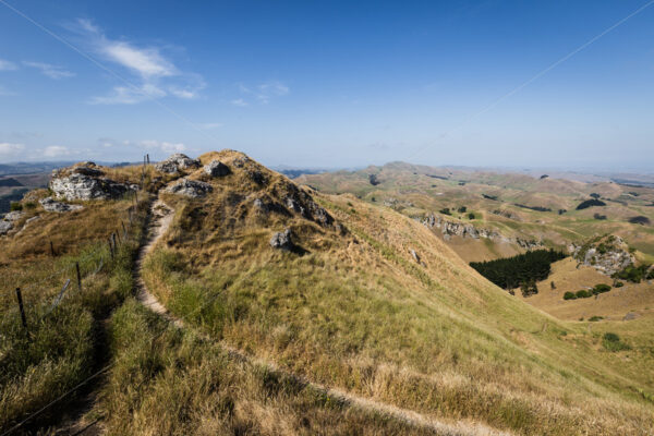 Te Mata Peak in the daytime, Havelock North, New Zealand - SCP Stock