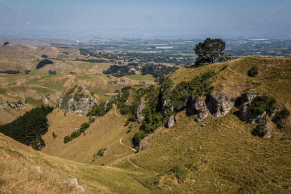 Te Mata Peak in the daytime, Havelock North, New Zealand - SCP Stock