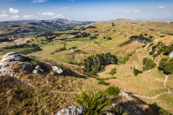 Te Mata Peak in the daytime, Havelock North, New Zealand - SCP Stock