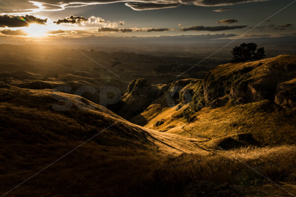 The Goat Track, Te Mata Peak, Hawke’s Bay, New Zealand - SCP Stock