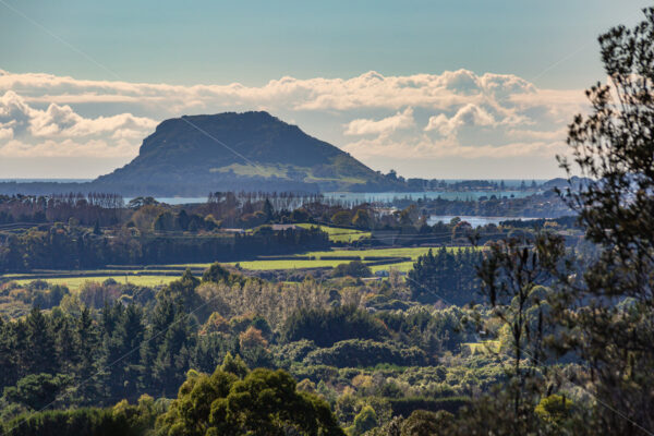 The Mount, Mount Maunganui, Tauranga, Bay of Plenty, New Zealand - SCP Stock