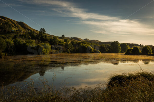 The Pond, Hawke’s Bay, New Zealand - SCP Stock