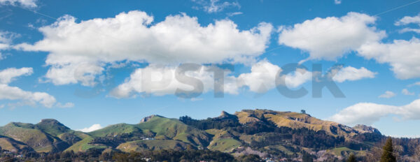 The Sleeping Giant, Te Mata Peak, Havelock North, New Zealand - SCP Stock