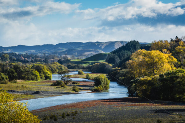 The Tukituki River in Autumn, Hawke’s Bay, New Zealand - SCP Stock