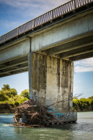 Tree debris against a bridge support column, Ngaruroro River, Hawke’s Bay, New Zealand - SCP Stock