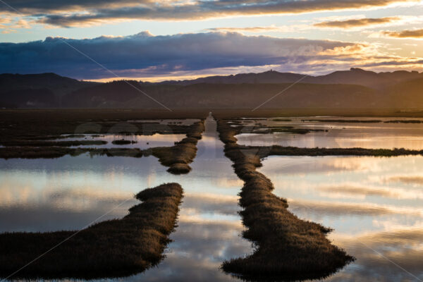 Wetland drainage at sunset as seen from the Pacific Coast Highway (SH 2), Napier, New Zealand - SCP Stock