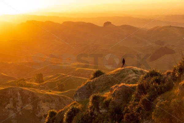 A mountain biker on Te Mata Peak at sunset, Hawke’s Bay, New Zealand - SCP Stock