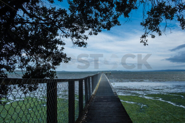 Jetty, Tauranga Harbour, Bay of Plenty, New Zealand - SCP Stock