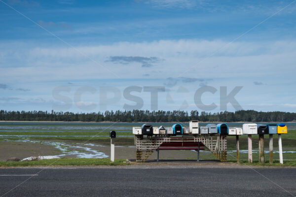 Letter boxes at the side of the road, Bay of Plenty, New Zealand - SCP Stock