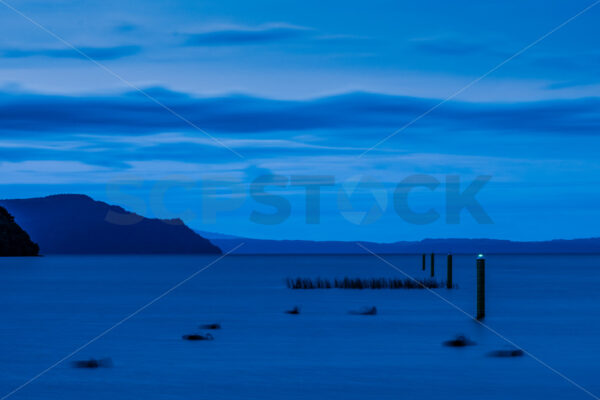 Long exposure Black Swans at Motuoapa, Lake Taupo, Waikato, New Zealand - SCP Stock