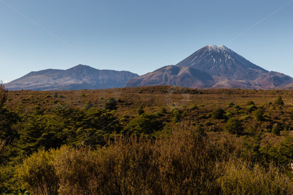 Mount Ngauruhoe, Central Plateau, North Island, New Zealand - SCP Stock