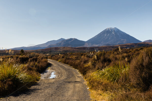 Mount Ngauruhoe, Central Plateau, North Island, New Zealand - SCP Stock