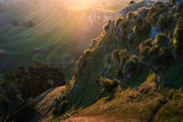 Walkers descending Te Mata Peak, Hawke’s Bay, New Zealand - SCP Stock