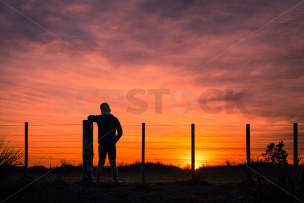 A boy watching sunset, Mahia Beach, Hawke’s Bay, New Zealand - SCP Stock