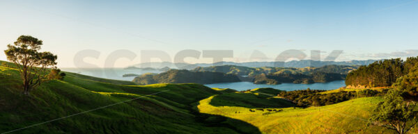 A panoramic image looking out over the Coromandel towards Manaia from the Manaia Road Saddle and Lookout, Coromandel Peninsula, New Zealand - SCP Stock