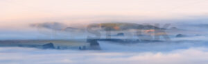 Mist over the Mangahao River, Pahiatua, New Zealand - SCP Stock