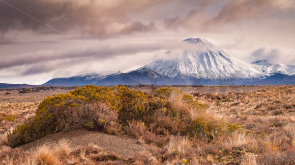 Mount Ngauruhoe, Tongariro National Park, North Island, New Zealand - SCP Stock