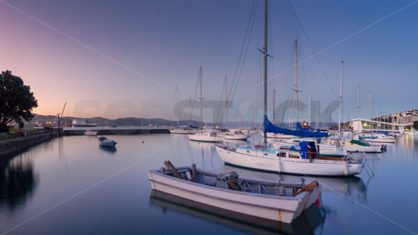 Royal Port Nicholson Yacht Club, Wellington, New Zealand - SCP Stock