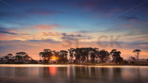 Westshore wildlife reserve, Napier, Hawke’s Bay, New Zealand - SCP Stock