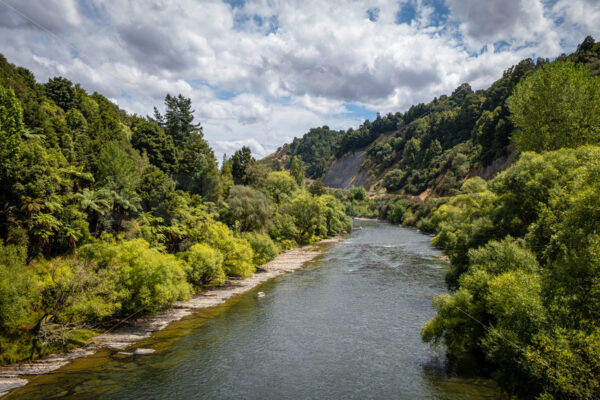 Whanganui River, SH 43, The Forgotten Highway, King Country, New Zealand - SCP Stock