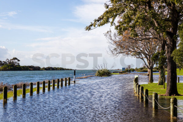 Flooding at the Evers Swindel Reserve, Clive River, Clive, Hastings, Hawke’s Bay, New Zealand - SCP Stock