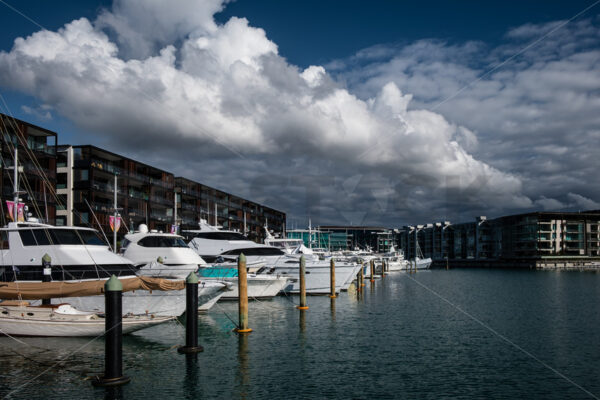 Yachts & appartments at Viaduct Basin, Auckland CBD, New Zealand - SCP Stock