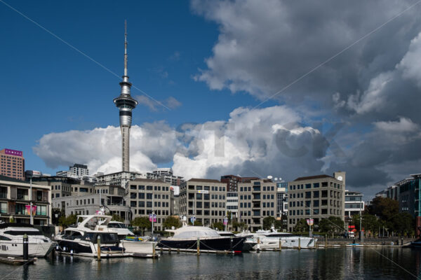 Yachts, appartments & businesses with the Skytower behind, Viaduct Basin, Auckland CBD, New Zealand - SCP Stock