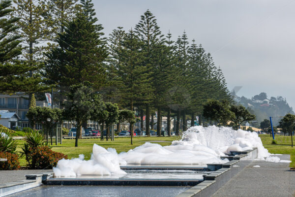 Napier’s Fountain Foamer Strikes Again… Hawke’s Bay, New Zealand - SCP Stock